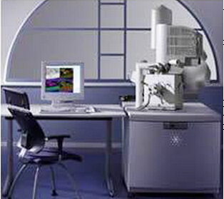 场发射环境扫描电子显微镜